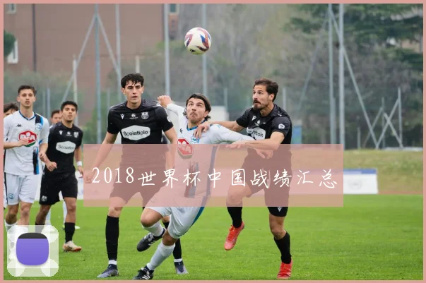 2018世界杯中国战绩汇总