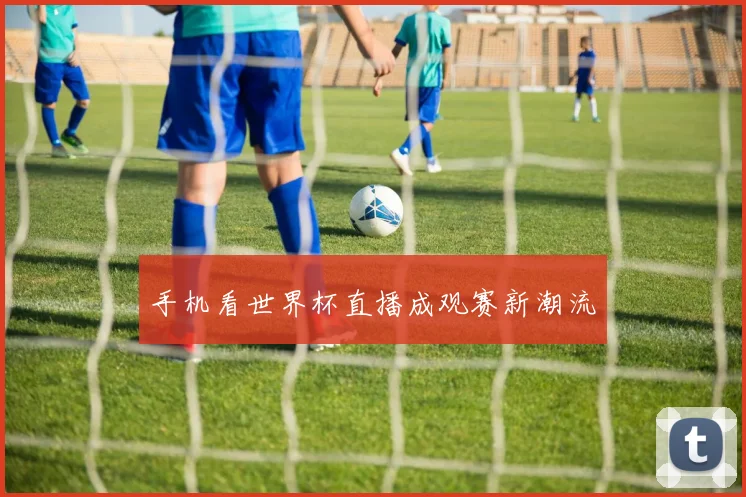 手机看世界杯直播成观赛新潮流